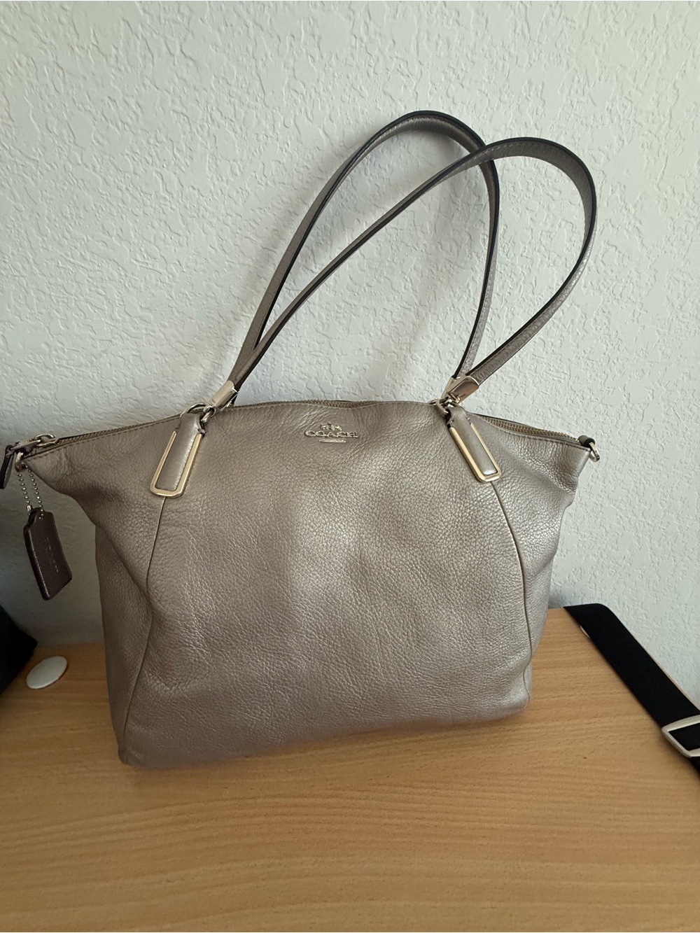 Coach Kelsey Metallic Pewter Leather Two Way Bag
